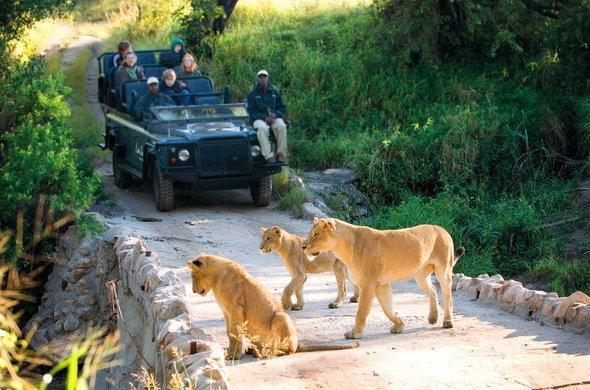 Kruger Park Lodge 401 Hazyview Εξωτερικό φωτογραφία